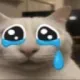 cryingfanat