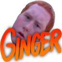 :950511ginger: