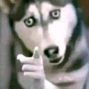 emoji_22 Discord Emoji - ✧･ﾟ: ✧･ﾟ: 𝙎𝙩𝙧𝙖𝙮𝙨 :･ﾟ✧:･ﾟ✧