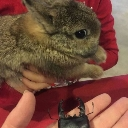 emoji_5 custom emote | Playground🍭