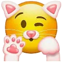 cenishtypeoffemboycat