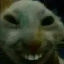 kekw