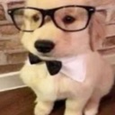 ErmDog custom emote | Speakeasy