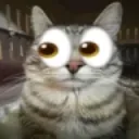 ojito