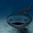 emoji_18 custom emote | ︵  𝐑𝖾 ƶ𝖾𝗋ⱺ ᥣα𐓣ᑯ ◌Ⳋ