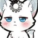foxxo_wtf