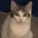 peccysurprised