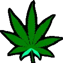 PKS_Weedleaf3