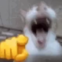 catlmao Discord sticker | Talk Pakistan
