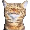 smily