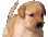 waggywaggy
