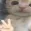 qq