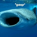 Gasp custom emote | ˚˖𓍢ִִ໋🦈˚˖⊹𝚂𝚑𝚊𝚛𝚔 𝙰𝚛𝚖𝚢✩°｡⋆ 🎧