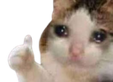 488481catthumbsupsad custom emote - HackerDen