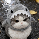 651072angysharkkitty custom emote - HackerDen