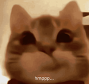 937042hmpppcat custom emote | HackerDen