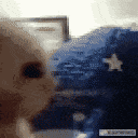 418102bollocks animated emote - HackerDen