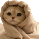 442830comfycat custom emote from HackerDen