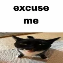 excuseme
