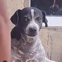 naughty Discord Emoji | Northern Star Community