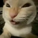 emoji_49