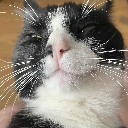 kevinchill Discord sticker | ꒰  .  🌈 。cndyume ◟ `` ˖