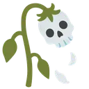 :wilted_skull: