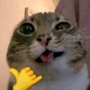 emoji_37
