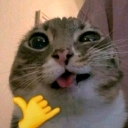 emoji_37 custom emote from Beyond Nen | Roblox