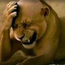 A lion with a human hand covering its face in a classic facepalm gesture.
