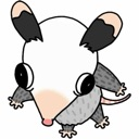 Opossum with wide eyes and a mischievous expression looking slightly to the side.