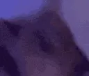 r_cat