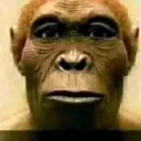 singe1