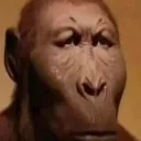 singe2