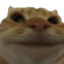 catclose Discord emoji