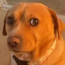 no