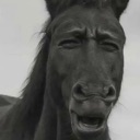 horse Discord sticker - 𝐂𝐚𝐭𝐡𝐞𝐝𝐫𝐚𝐥 𝐨𝐟 𝐂𝐫𝐨𝐰𝐬