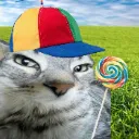 gato_lolipop