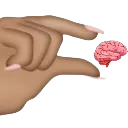 no_brain