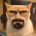 walterstare