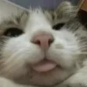 auh