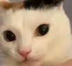 fuh