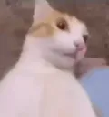 icanttakeitanymore