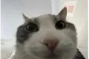 yuh