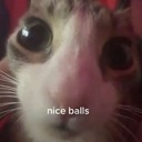 NiceBalls Discord Emoji - 💖Twinkhub🩵