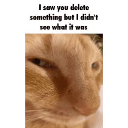 images1 custom emote from AMB