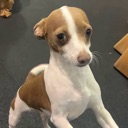 emoji_1 Discord Emoji - mᥲ𝗍ᥴһ ᥴᥲ𝖿ᥱ́ ˙⋆☕  ༘