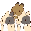 BnuyClaps