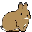 BnuyScratch