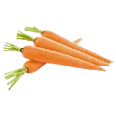 carot